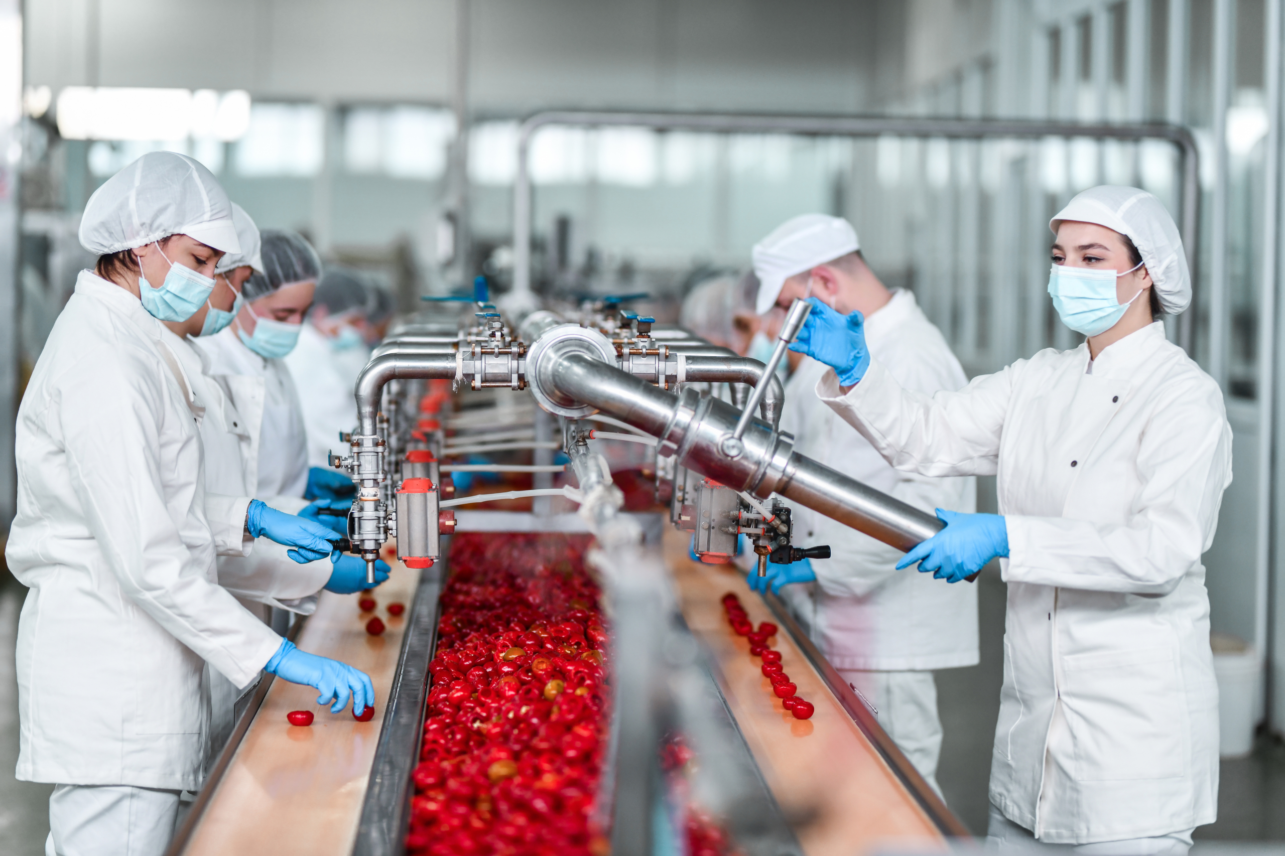 Opérateurs travaillant sur une ligne de production dans l’industrie agroalimentaire